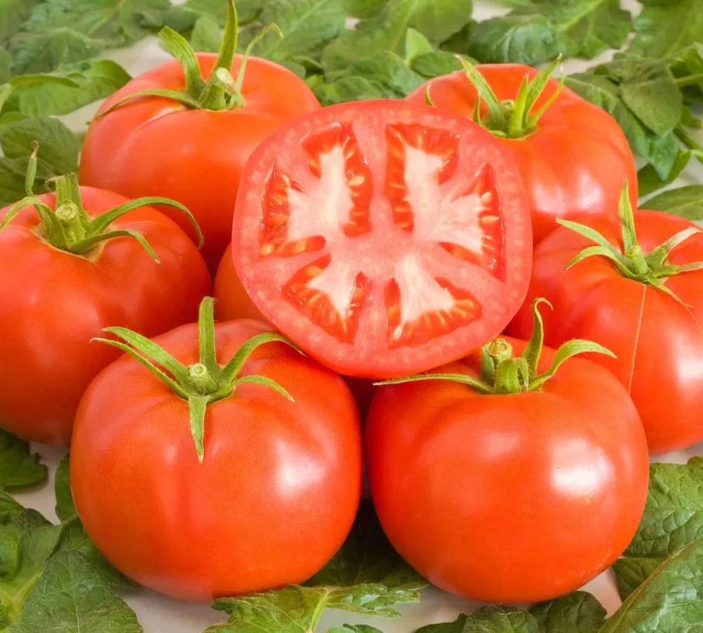 Paradižnik "St. Pierre"