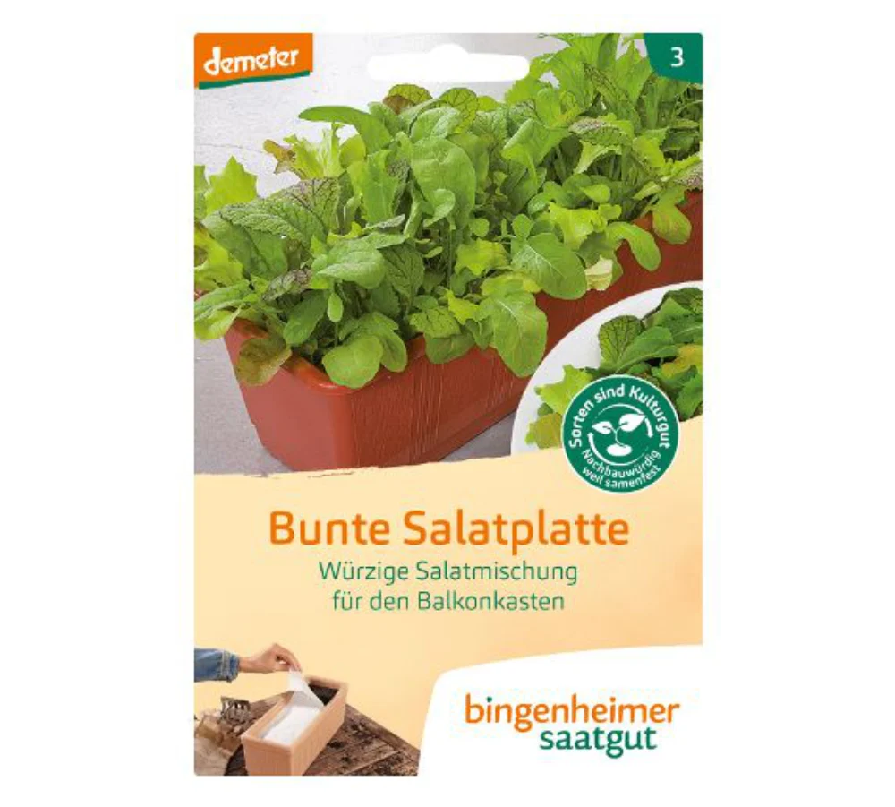 Pisani solatni krožnik