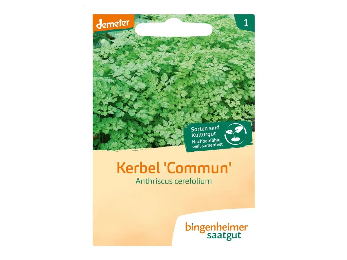 Semena krebuljice Commun
