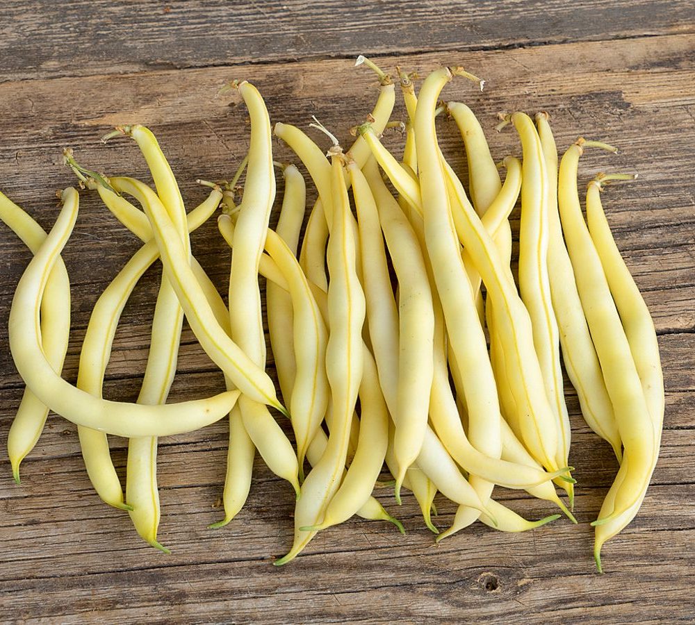 Stročji fižol Helios