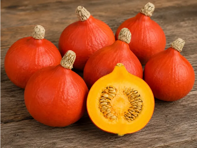 Buča Red Kuri