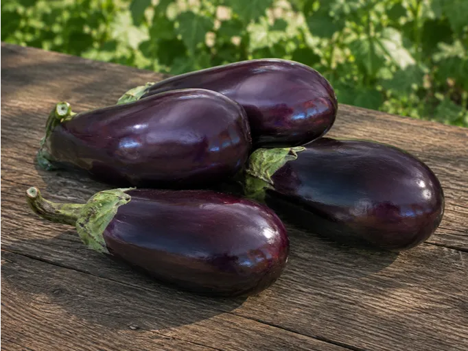 Jajčevec Zora