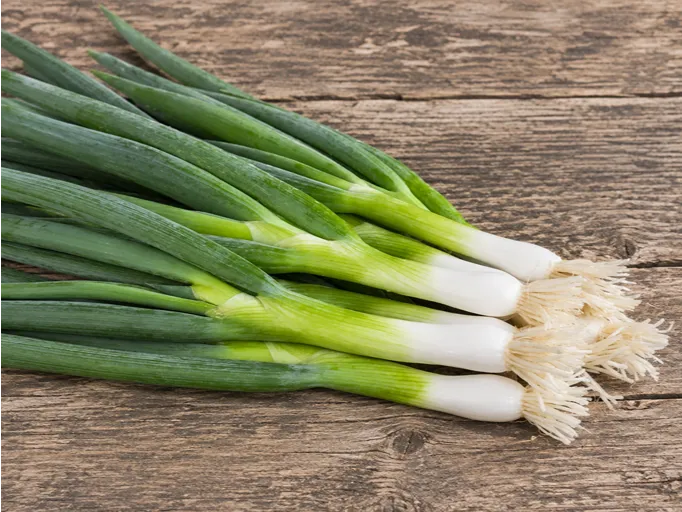 Mlada čebula Ischikrona