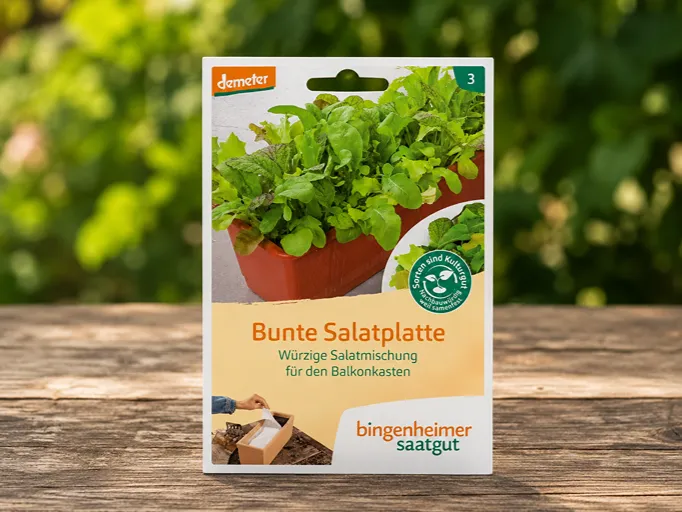 Pisani solatni krožnik