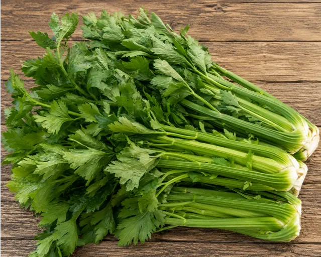 Stebelna zelena Tall Utah z dolgimi mesnatimi zelenimi stebli